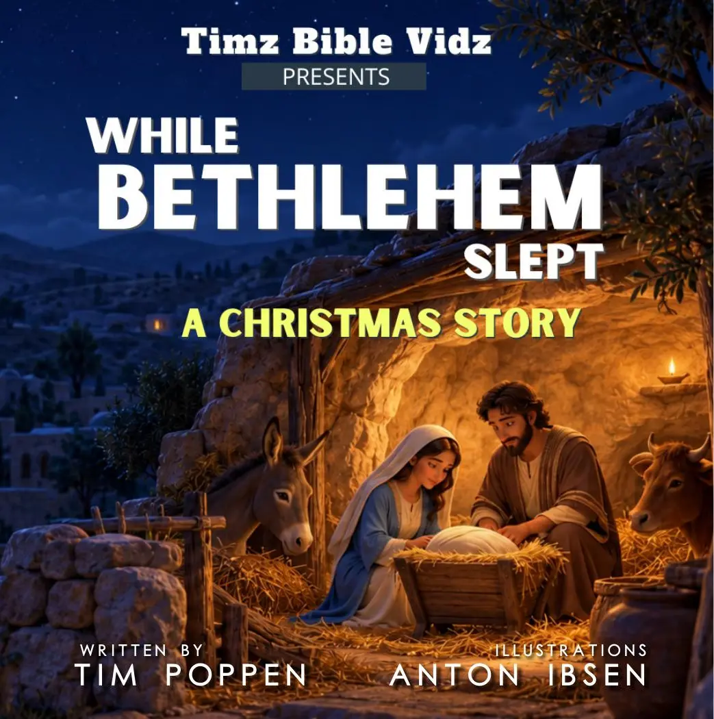 While Bethlehem Slept paperback cover